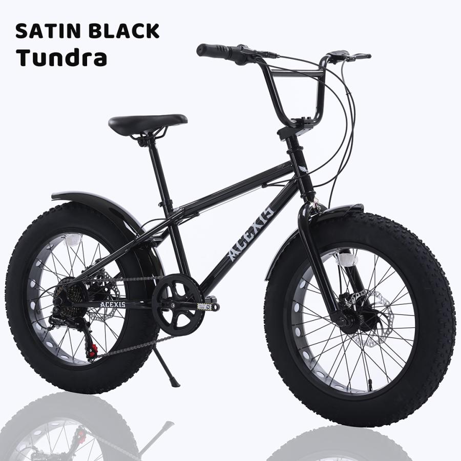 ACEXIS ファットバイク Fat City Cruiser BMX 自転車 シティ ビーチ