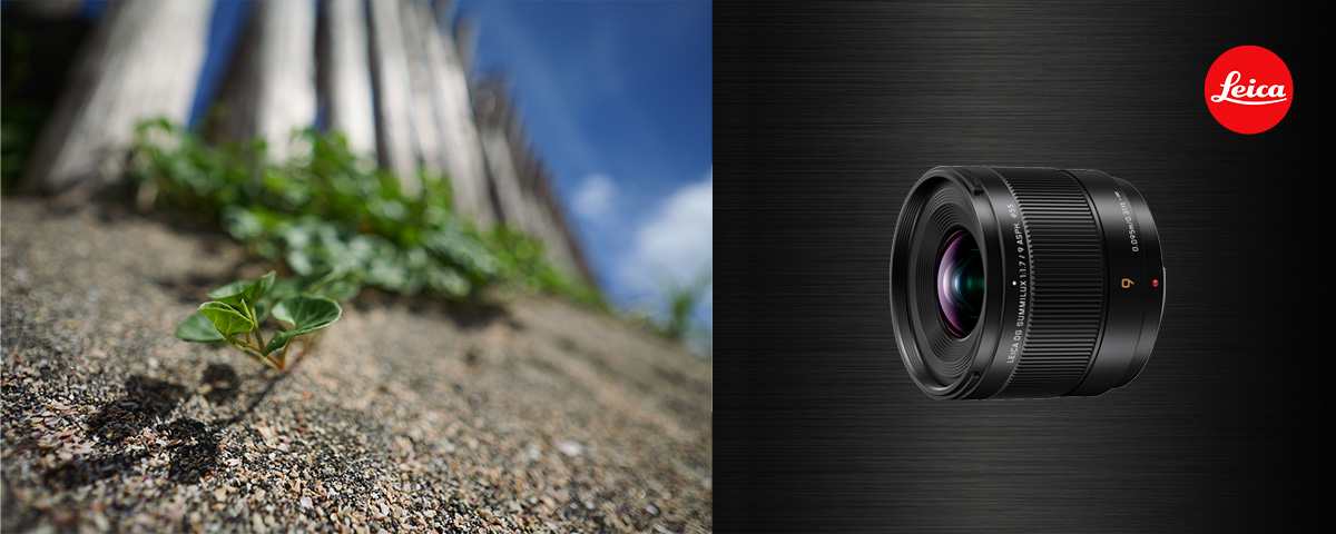 概要 デジタル一眼カメラ用交換レンズ H-X09 | LUMIX（ルミックス